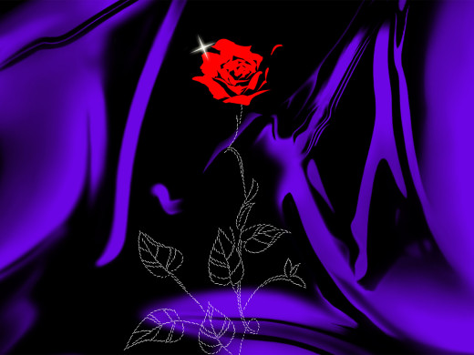 20448 (a): :1600x1200